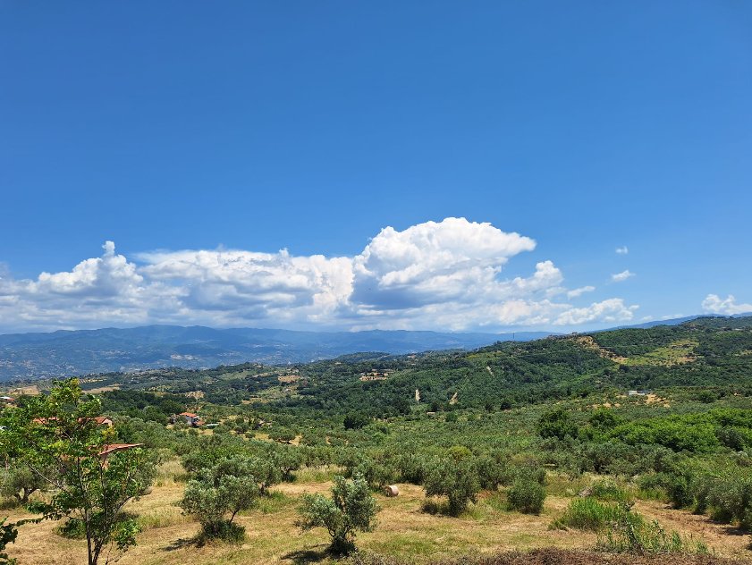 Uliveti e colline nei dintorni del bed and breakfast, a pochi minuti da Rende